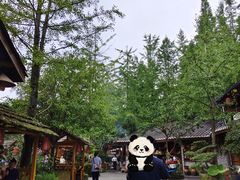 -青城甲(青城山店)