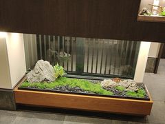 -大妙火锅·非物质文化遗产(东湖公园店)