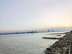 -海鸥岛