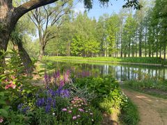 -上海共青森林公园