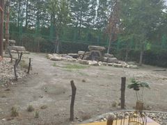 -上海野生动物园老虎餐厅