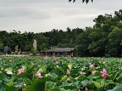 -东湖生态旅游风景区