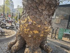 -南通濠河风景名胜区