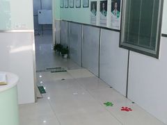 -佳雯宠物医院(金华南路分院)