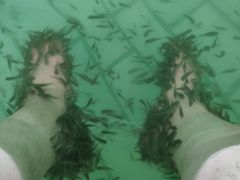 -天山海世界·米立方