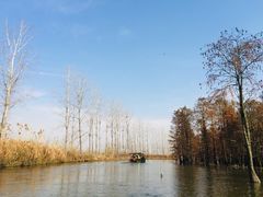 -池杉湖湿地公园