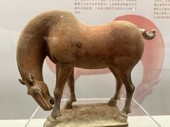 -衢州市博物馆