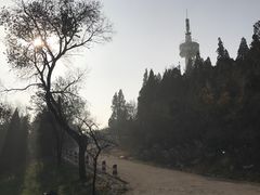 -原山国家森林公园