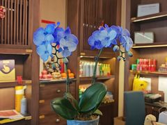-煜丰汴京烤鸭(福彩路店)