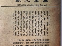 -呼伦贝尔民族博物馆