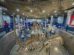 -国家自然博物馆