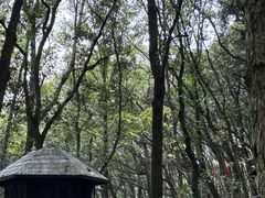 -富春桃源风景区