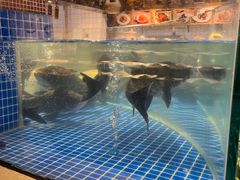 -東大方(安吉灵芝店)
