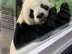 -临沂动植物园