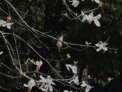 -山东大学(趵突泉校区)