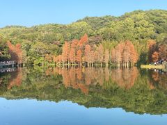 -广州市白云山风景名胜区