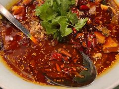 毛血旺-辛香汇(飞洲店)