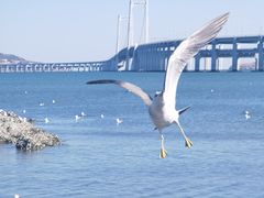 -黑石礁公园