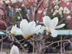 -首都师范大学(良乡校区)