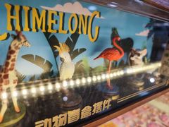 -广州长隆飞鸟乐园