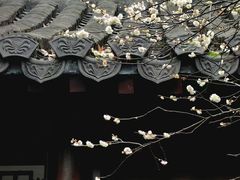 -钱王祠