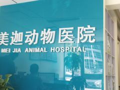 -美迦爱-牙专科·兔科·骨科诊疗中心(北苑店)