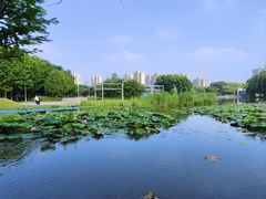 -白塘生态植物园