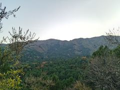 -香山公园