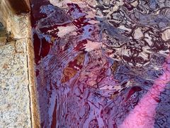 -春晖园度假酒店温泉