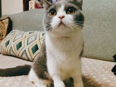 -宠颐生中康贝怡动物医院