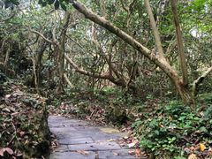 -鹅銮鼻公园