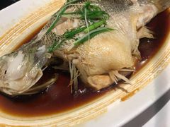 清蒸鲈鱼-眉州东坡(团结湖店)