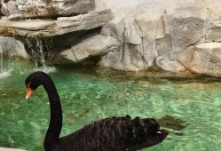 -Zoolung Zoolung动物主题公园(海信广场店)