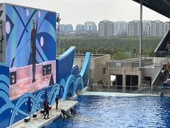-上海海昌海洋公园