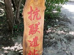 -龙道沟景区