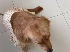 -怪兽屋·羊驼·猫咖·狗咖(俊华广场店)