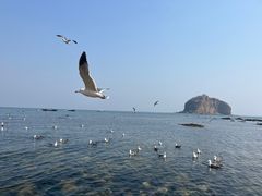 -棒棰岛宾馆景区