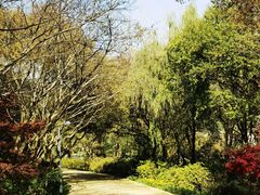 -西湖风景区-江洋畈生态公园