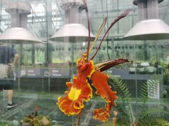 -国家植物园南园