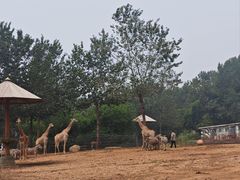 -大连森林动物园