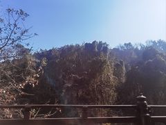 -龙井壹号·茶缘山景宴(龙井村店)