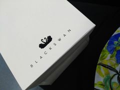-BLACKSWAN黑天鹅(环球店)