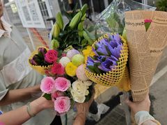 -三圣花乡旅游区