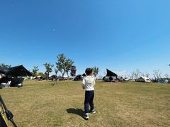 -春花秋色城市公园