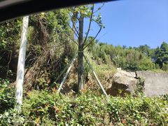 -鼓岭旅游度假区