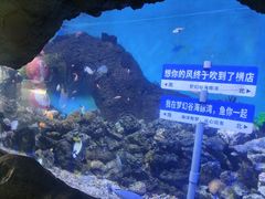 -横店影视城梦幻谷园区