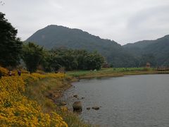 -广州市石门国家森林公园