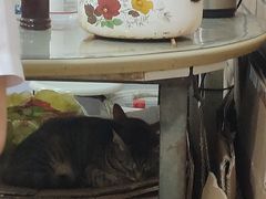 -老地方面馆(思南路店)