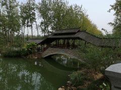 -合肥滨湖国家森林公园