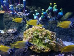 -华夏文旅西安度假区